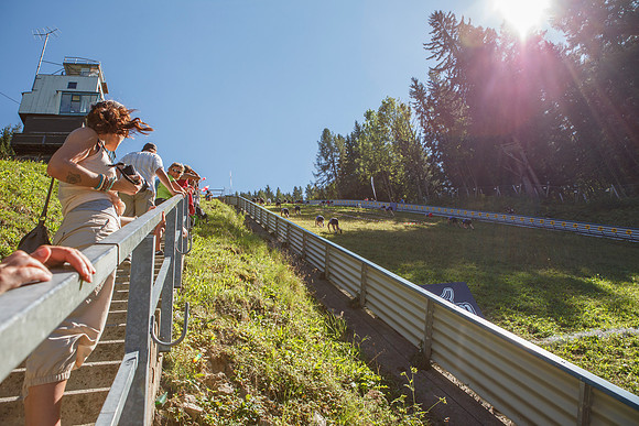 0287-RED BULL 400 - 2012 - der härteste 400m Lauf der Welt