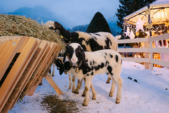 STOCK RESORT-WEIHNACHTEN 2025-7440