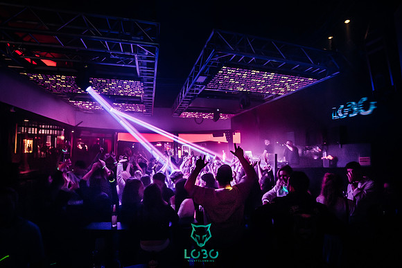 LOBO Nightclub-Single like a Pringle-2035