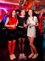 BUSSI BUSSI BAR-Weiberroas 2026-7432