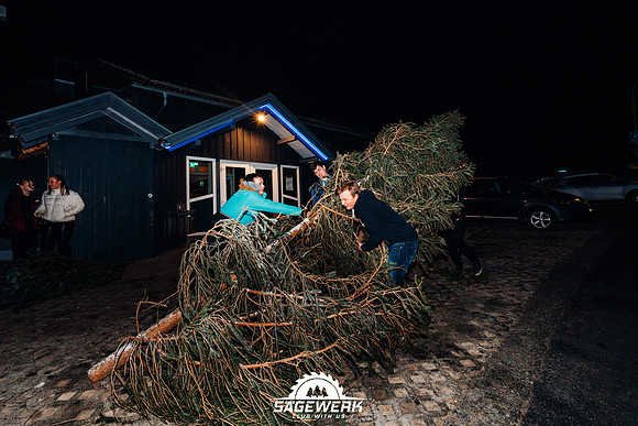 SÄGEWERK-SÄGEWERK BRAUCHT HOLZ-19