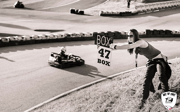 ART OF CART - RACE124 - 2017-1997