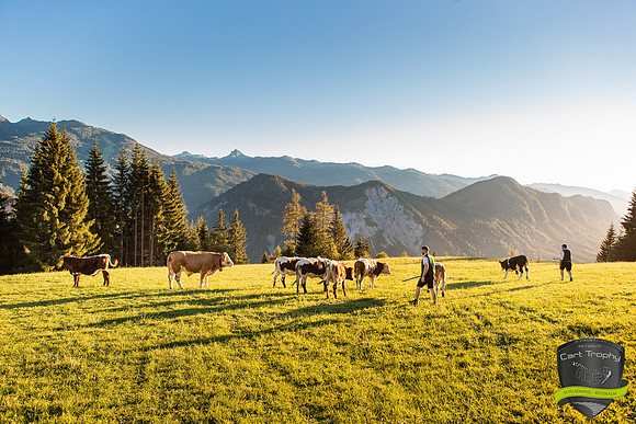 ART OF CART - Reiteralm 2018-27