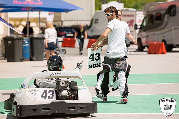 ART OF CART - RACE124 - 2017-825
